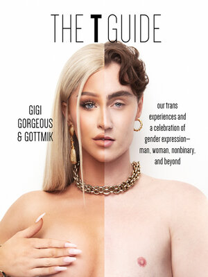 cover image of The T Guide